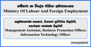 Management Assistant, Business Promotion Officer, IT Officer - Ministry Of Labour And Foreign Employment Vacancies 2024