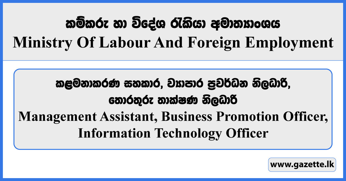 Management Assistant, Business Promotion Officer, IT Officer - Ministry Of Labour And Foreign Employment Vacancies 2024
