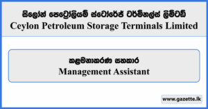 Management Assistant - Ceylon Petroleum Storage Terminals Limited Vacancies 2024