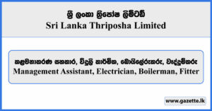 Management Assistant, Electrician, Boilerman, Fitter - Sri Lanka Thriposha Limited Vacancies 2024