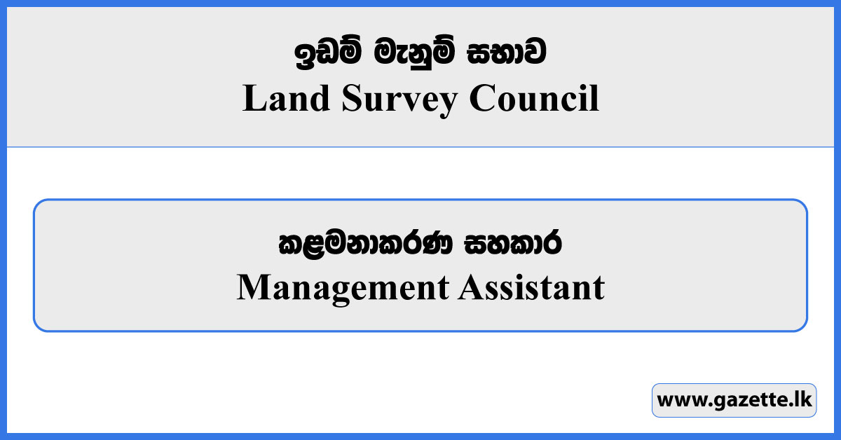 Management Assistant - Land Survey Council Vacancies 2024