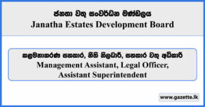 Management Assistant, Legal Officer, Assistant Superintendent - Janatha Estates Development Board Vacancies 2025