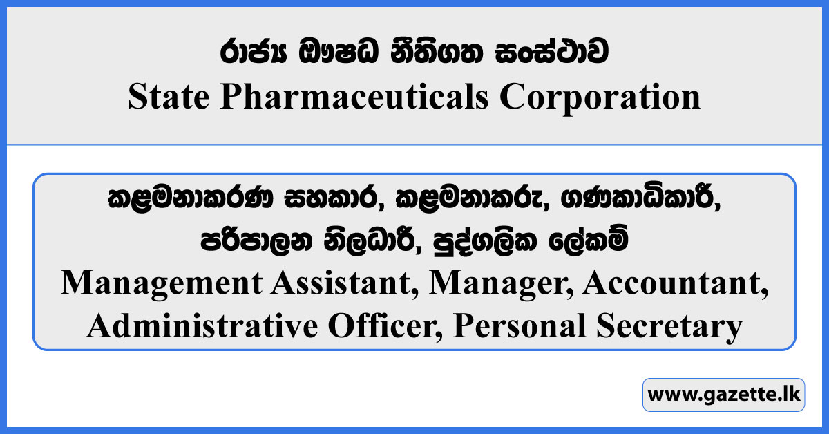 Management Assistant, Manager, Accountant, Administrative Officer, Personal Secretary