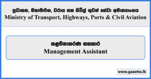 Management Assistant - Ministry of Transport, Highways, Ports and Civil Aviation Vacancies 2025