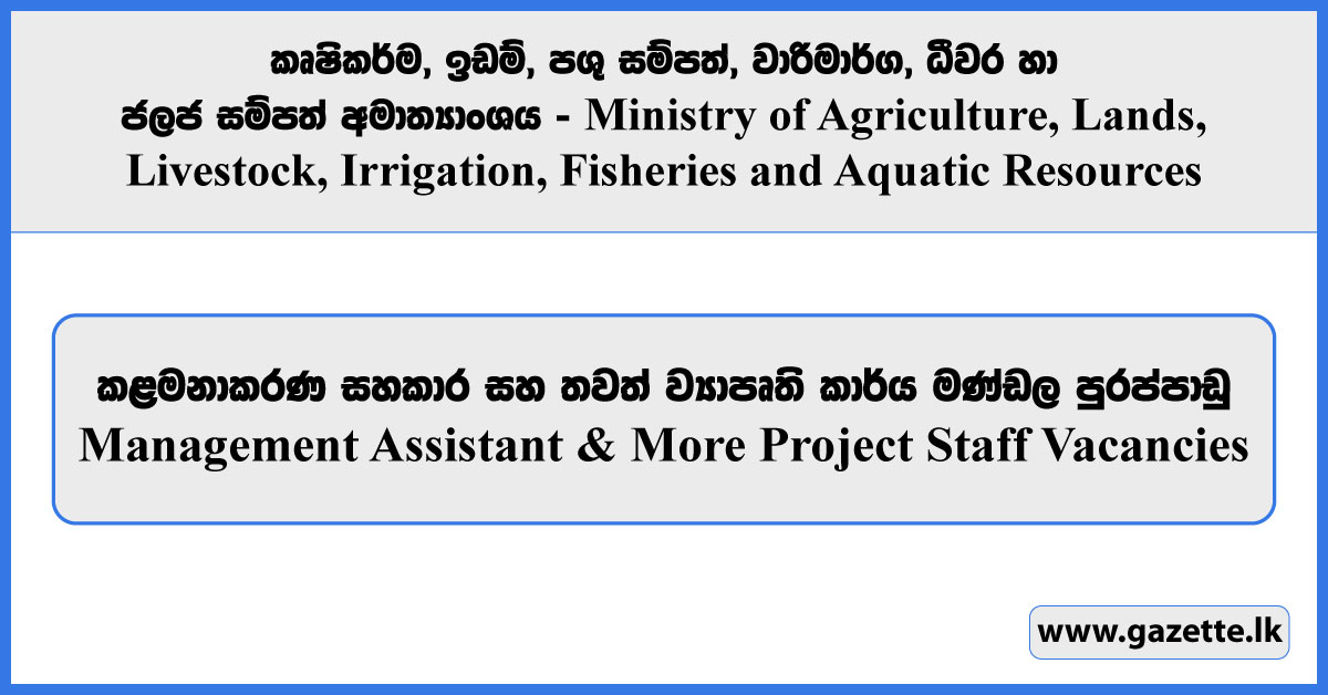 Management Assistant & More Project Staff Vacancies - Ministry of Agriculture, Lands, Livestock, Irrigation, Fisheries and Aquatic Resources Vacancies 2024