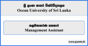 Management Assistant - Ocean University of Sri Lanka Vacancies 2024