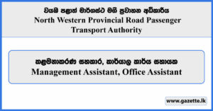 Management Assistant, Office Assistant - North Western Provincial Road Passenger Transport Authority Vacancies 2025