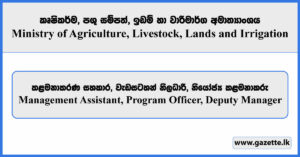 Management Assistant, Program Officer, Deputy Manager - Ministry of Agriculture, Livestock, Lands and Irrigation Vacancies 2024