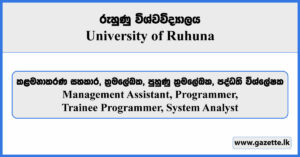 Management Assistant, Programmer, Trainee Programmer, System Analyst - University of Ruhuna Vacancies 2024