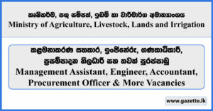 Management Assistant, Engineer, Accountant, Procurement Officer & More Vacancies - Ministry of Agriculture, Livestock, Lands and Irrigation Vacancies 2025