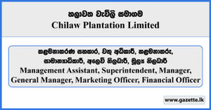 Management Assistant, Superintendent, Manager, Marketing Officer, Financial Officer - Chilaw Plantation Limited Vacancies 2025