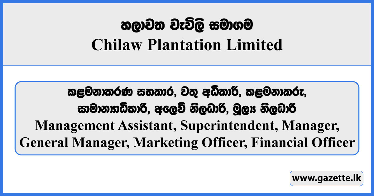 Management Assistant, Superintendent, Manager, Marketing Officer, Financial Officer - Chilaw Plantation Limited Vacancies 2025