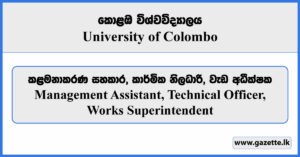 Management Assistant, Technical Officer, Works Superintendent - University of Colombo Vacancies 2024