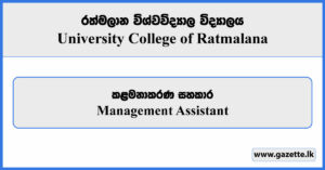 Management Assistant - University College Ratmalana Vacancies 2024
