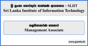 Management Associate - Sri Lanka Institute of Information Technology Vacancies 2025