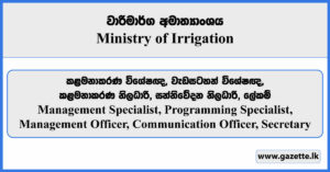 Management Specialist, Programming Specialist, Management Officer, Communication Officer, Secretary - Ministry of Irrigation Vacancies 2024