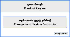 BOC Management Trainee Vacancies 2024 - BOC Bank of Ceylon
