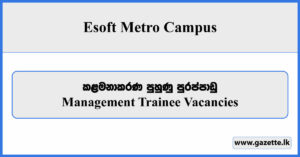 Management Trainee - Esoft Metro Campus Vacancies 2024