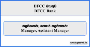 Manager, Assistant Manager - DFCC Bank Vacancies 2025