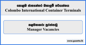 Manager - Colombo International Container Terminals Vacancies 2024