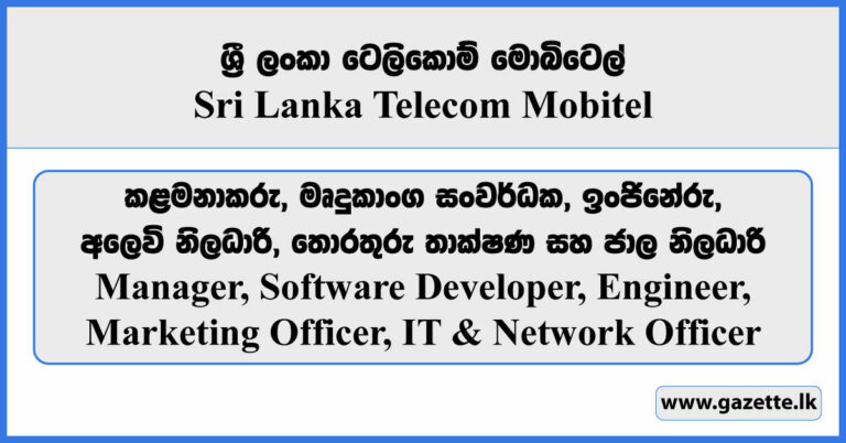 Manager, Engineer, Software Developer, Marketing Officer, IT & Network ...