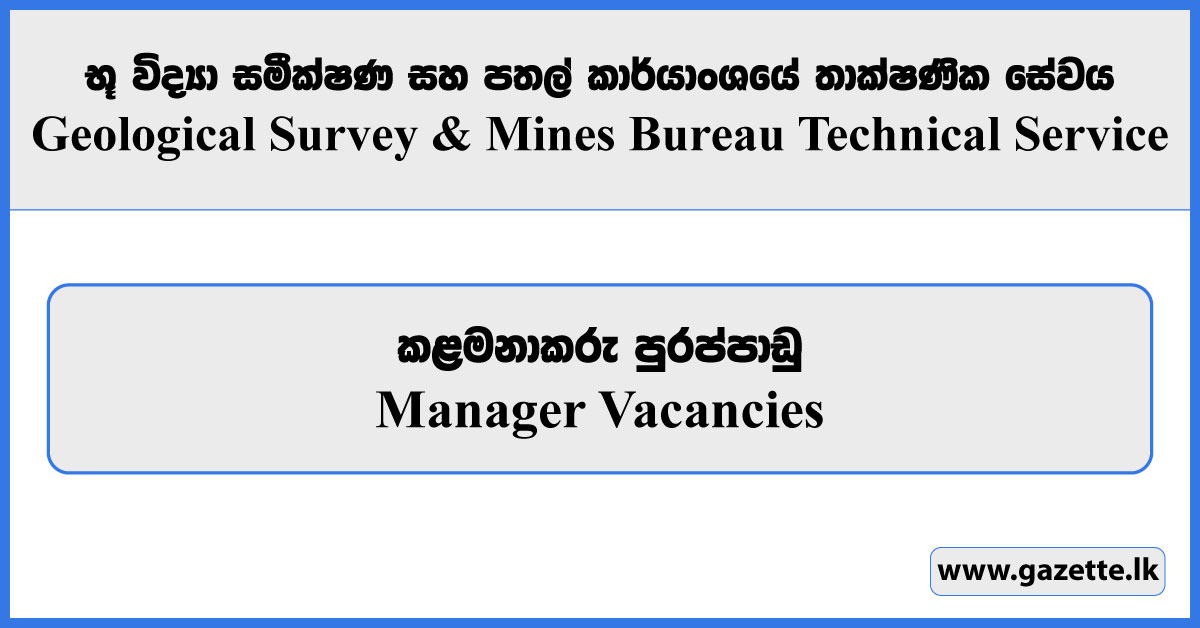 Manager - Geological Survey & Mines Bureau Technical Service (Private) Limited Vacancies 2024