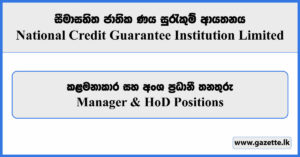 Manager & HoD Positions - National Credit Guarantee Institution Limited Vacancies 2024