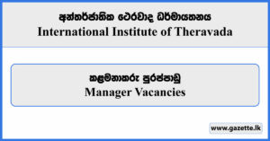 Manager - International Institute of Theravada Vacancies 2024
