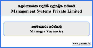 Manager - Management Systems Private Limited Vacancies 2024