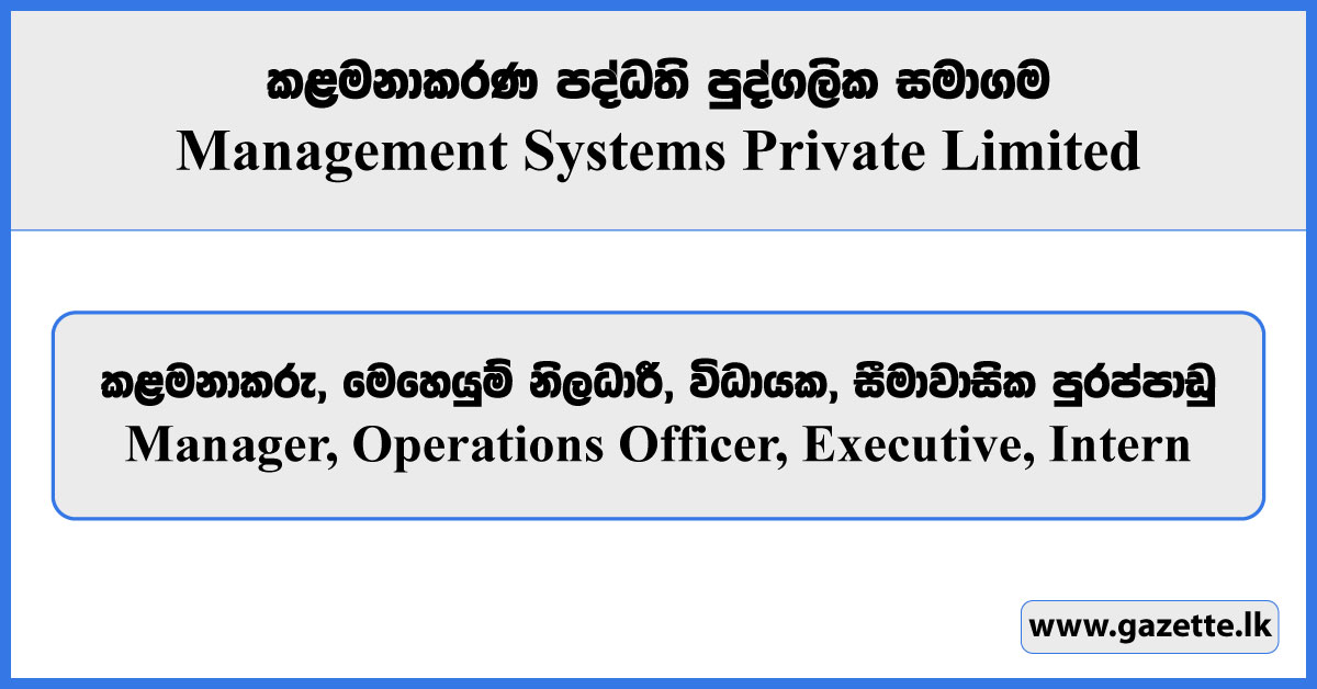 Manager, Operations Officer, Executive, Intern - Management Systems Private Limited Vacancies 2025