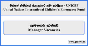 Manager - UNICEF Vacancies 2025