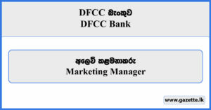 Marketing Manager - DFCC Bank Vacancies 2024