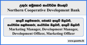 Marketing Manager, Development Manager, Development Officer, Marketing Officer - Northern Cooperative Development Bank Vacancies 2024