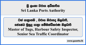Master of Tugs, Harbour Safety Inspector, Senior Sea Traffic Coordinator - Sri Lanka Ports Authority Vacancies 2024