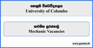 Mechanic Vacancies - University of Colombo Vacancies 2024