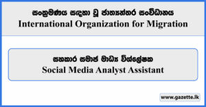 Social Media Analyst Assistant - International Organization for Migration Vacancies 2024