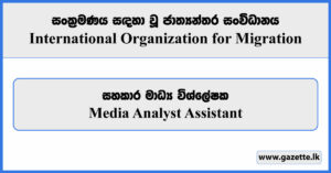 Media Analyst Assistant - International Organization for Migration Vacancies 2024