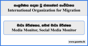 Media Monitor, Social Media Monitor - International Organization for Migration Vacancies 2024