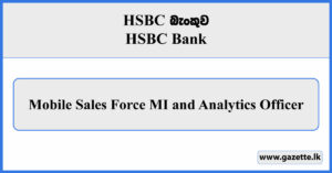 Mobile Sales Force MI and Analytics Officer - HSBC Bank Vacancies 2024