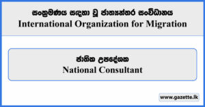 National Consultant - International Organization for Migration Vacancies 2024