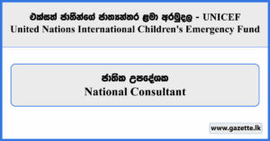 National Consultant - UNICEF Vacancies 2024