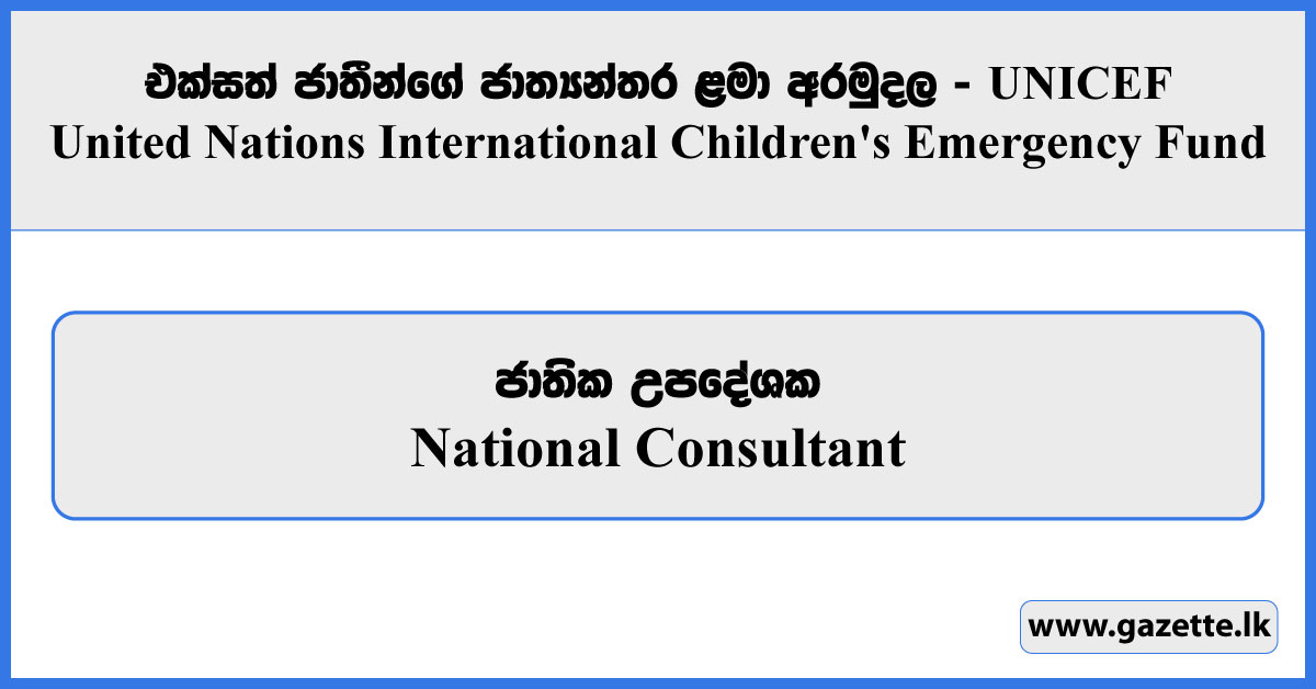 National Consultant - UNICEF Vacancies 2024