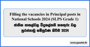 National Schools Principal Vacancies 2024 (SLPS Grade 1) - Ministry of Education