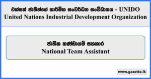 National Team Assistant - United Nations Industrial Development Organization Vacancies 2024