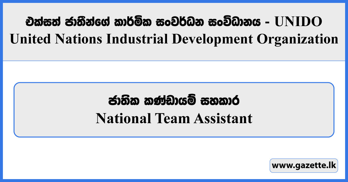 National Team Assistant - United Nations Industrial Development Organization Vacancies 2024