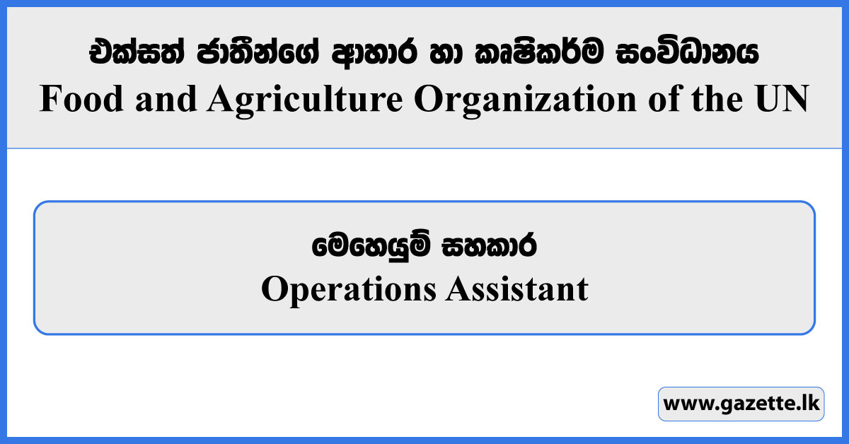 Operations Assistant - Food and Agriculture Organization Vacancies 2024