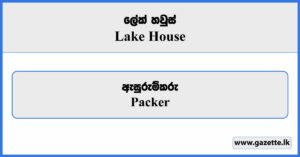 Packer - Lake House Vacancies 2024