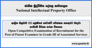 Patent Examiner - National Intellectual Property Office Vacancies 2024