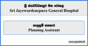 Planning Assistant - Sri Jayewardenepura General Hospital Vacancies 2024