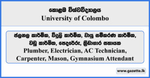 Plumber, Electrician, AC Technician, Carpenter, Mason, Gymnasium Attendant - University of Colombo Vacancies 2024